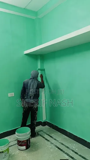 Professional Painter