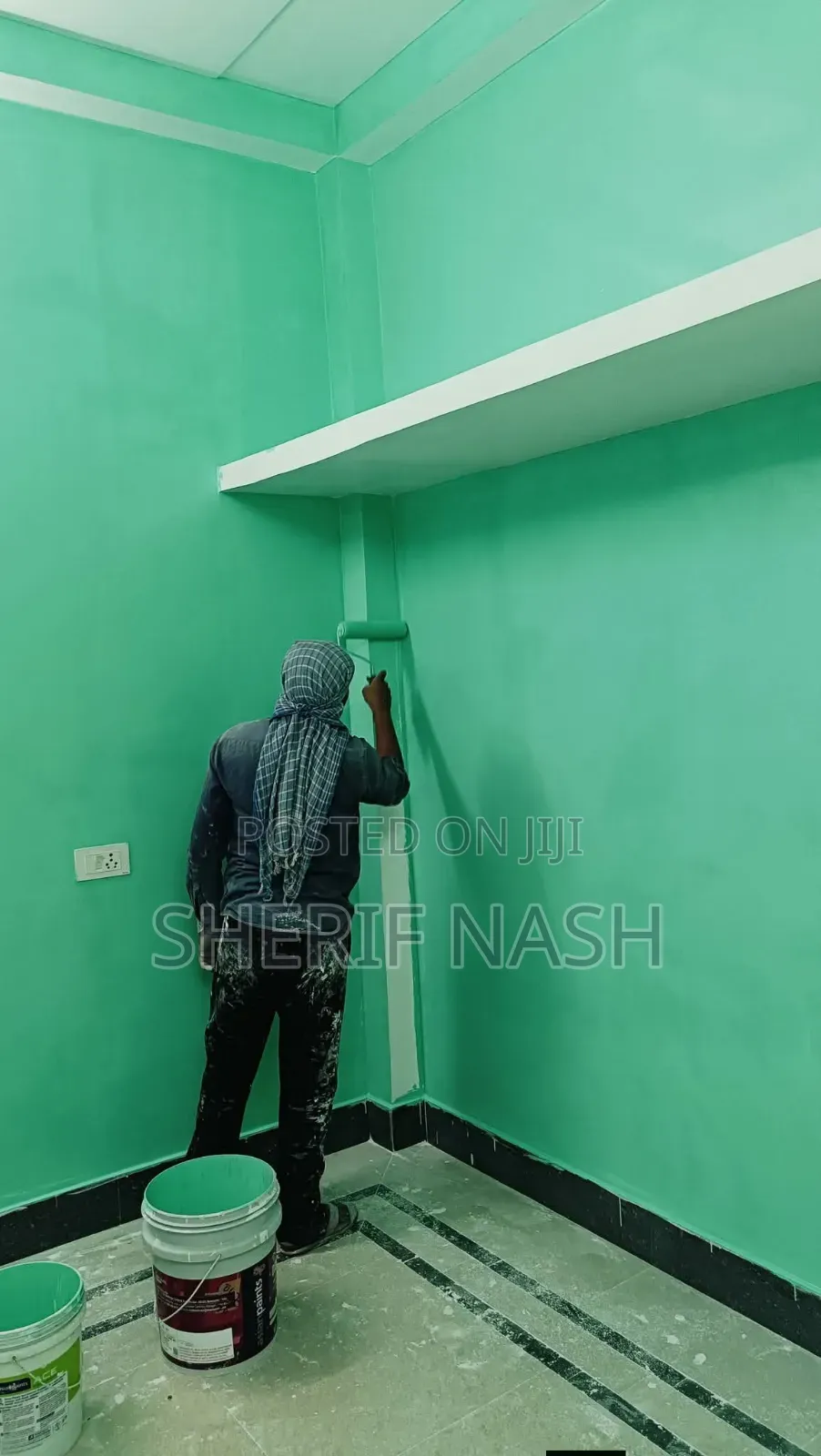 Professional Painter