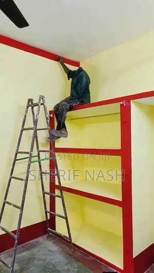 Professional Painter