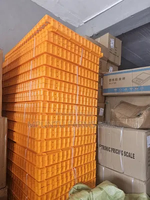 Transport Cages/ Basket(Large Size)