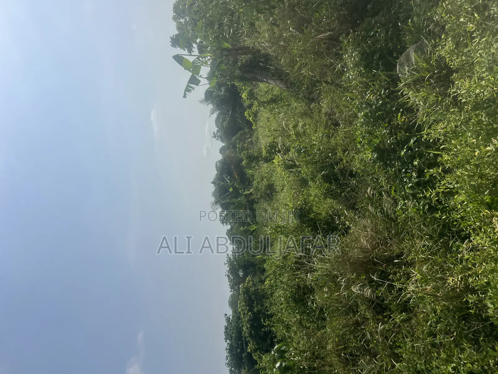 Land for Sale