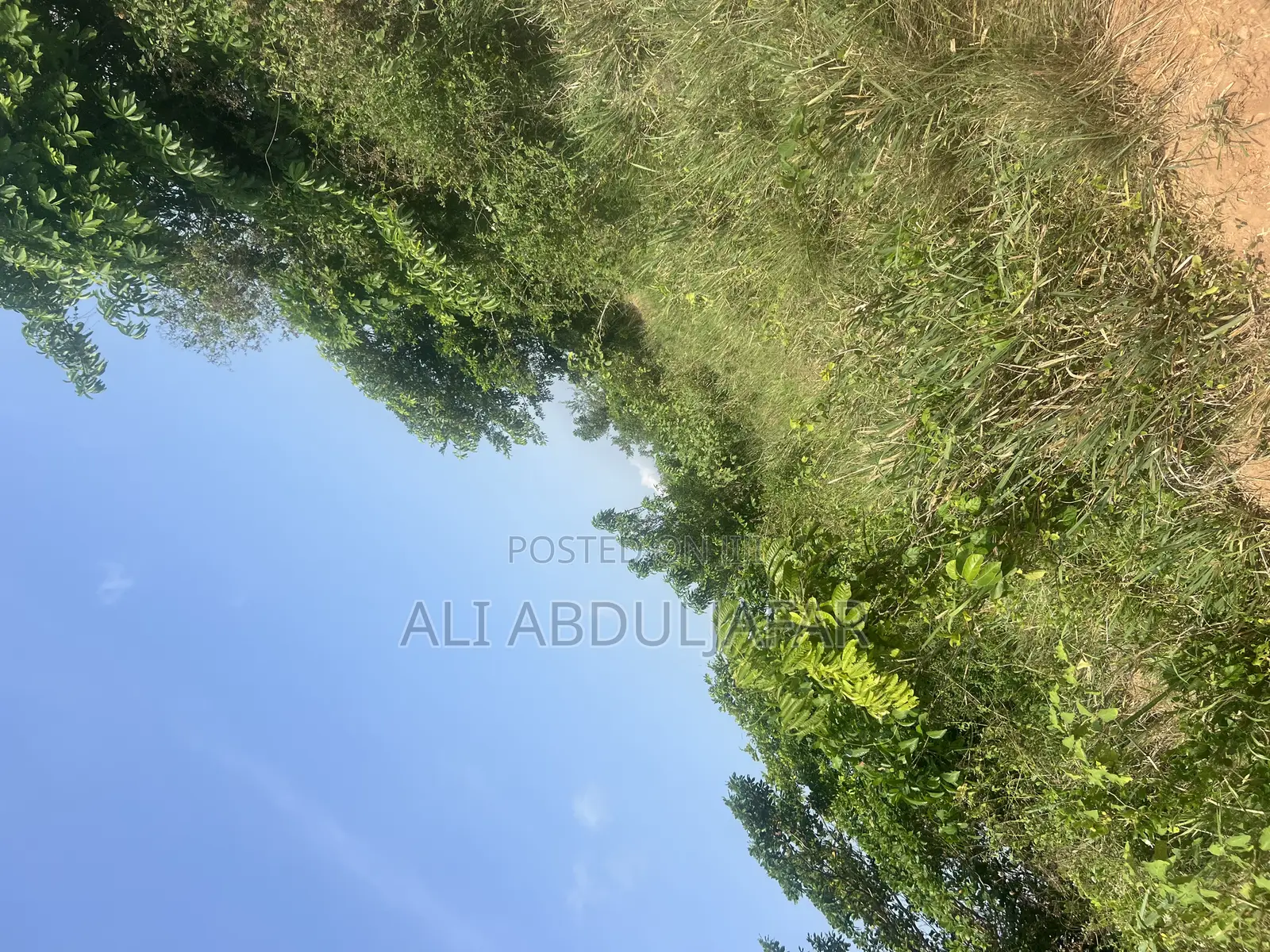 Land for Sale