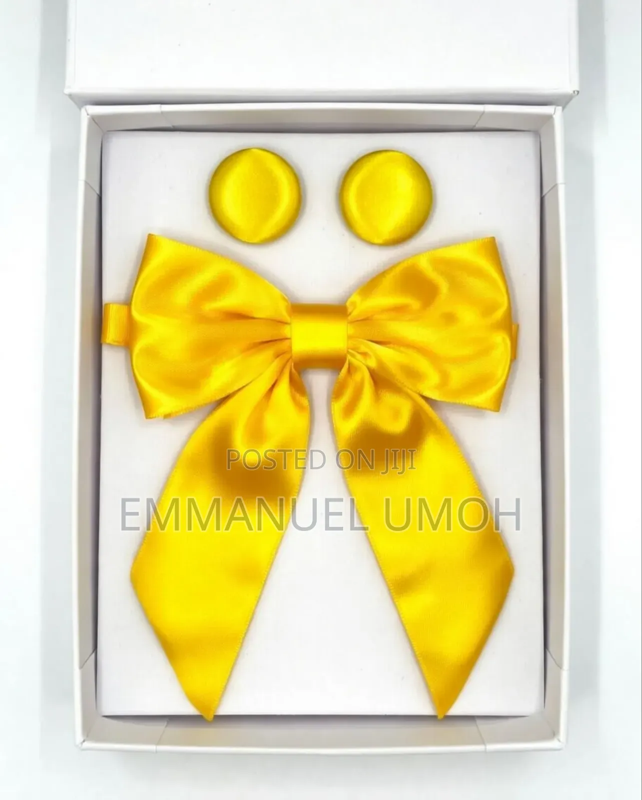 Ladies Tie With Matching Earrings And Brooch