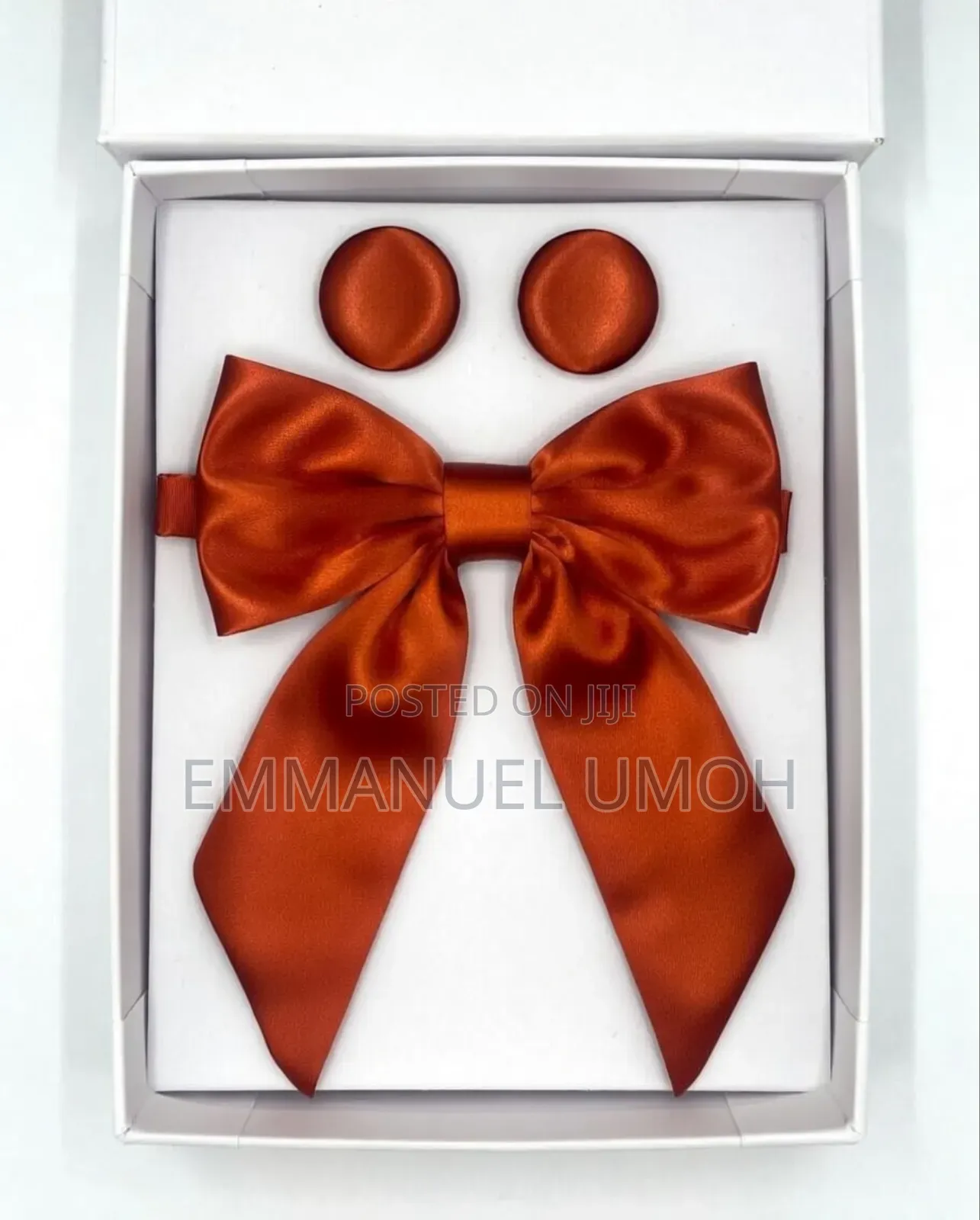 Ladies Tie With Matching Earrings And Brooch