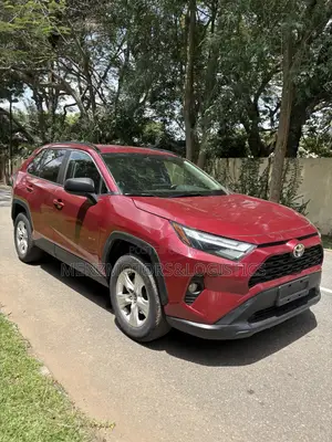 Toyota RAV4 LE AWD 2019 Red