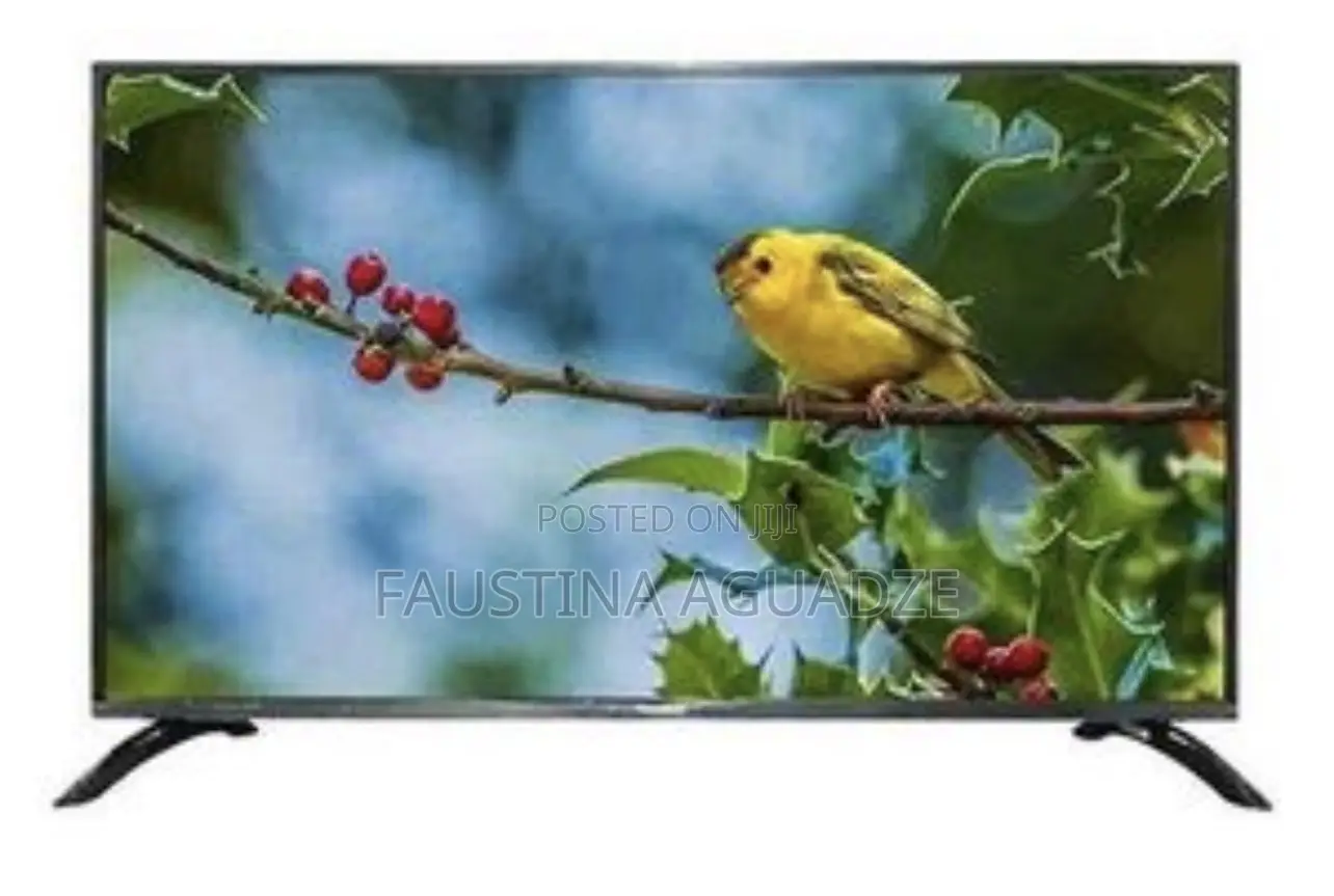 Nasco 43 Inch Digital Satellite Tv
