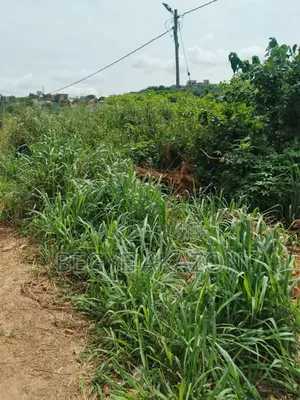 0.22 Acre Land for Sale at Borteymam