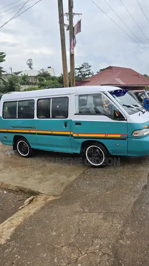 Hyundai H-100 2004 Green