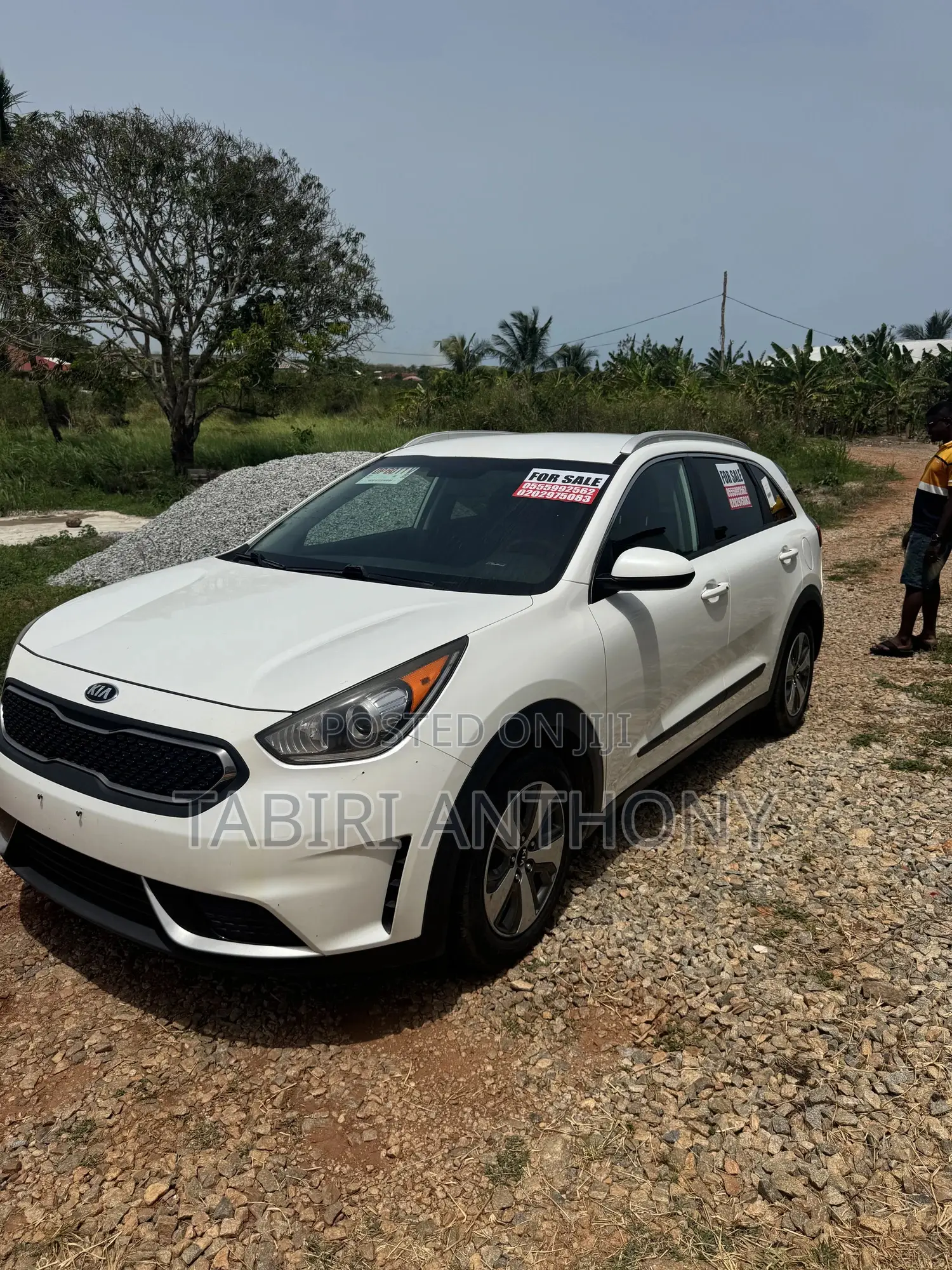 Kia Niro 2019 White