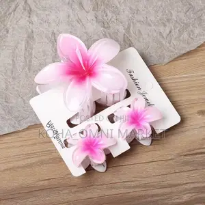 3pcs Claw Clips Set