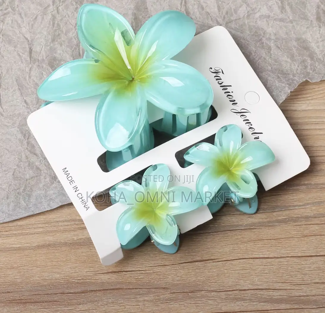 3pcs Claw Clips Set