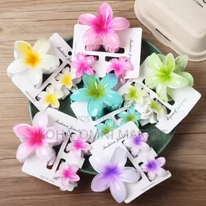 3pcs Claw Clips Set