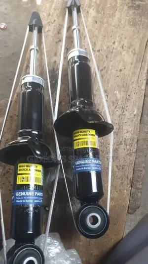 Outlander 2016 Back Shock Absorbers
