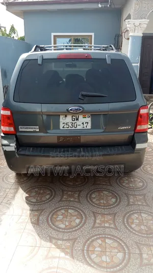 Ford Escape Hybrid Limited 4x4 2009 Gray