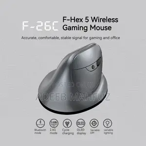 RGB Gaming Mouse With Oled Display