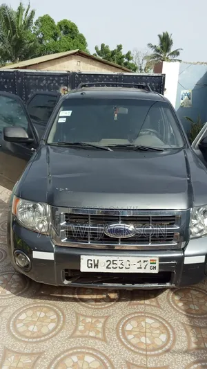 Ford Escape Hybrid Limited 4x4 2009 Gray