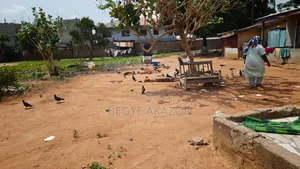 1 Acre Land for Sale at Adenta Assembly