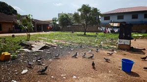 1 Acre Land for Sale at Adenta Assembly