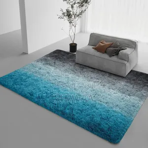 Heavy Fluffy Carpet