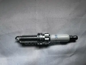 Oem BMW Plugs