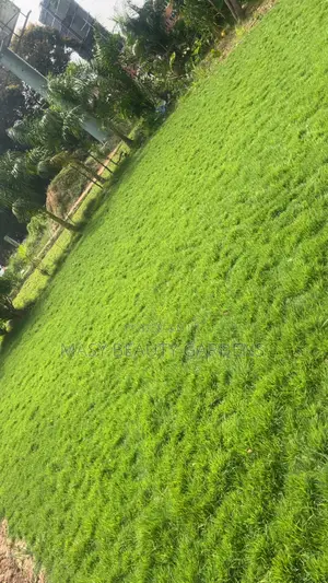 Masy Gardens N Landscaping