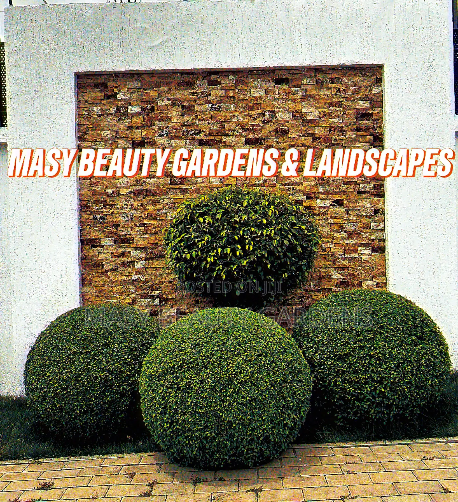 Masy Gardens N Landscaping