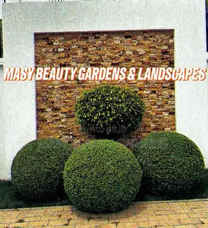 Masy Gardens N Landscaping
