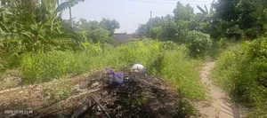 A Plot of Land for Sale at Weija Old Barrier