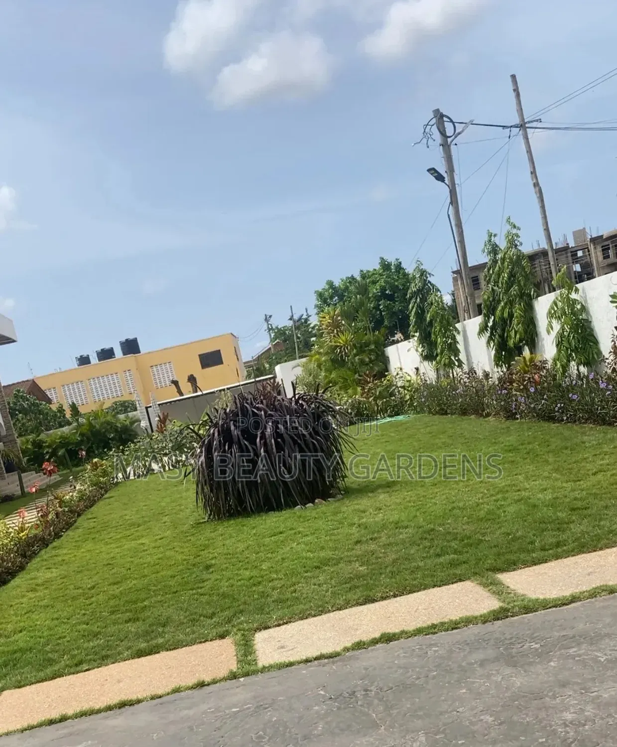 Masy Gardens N Landscaping