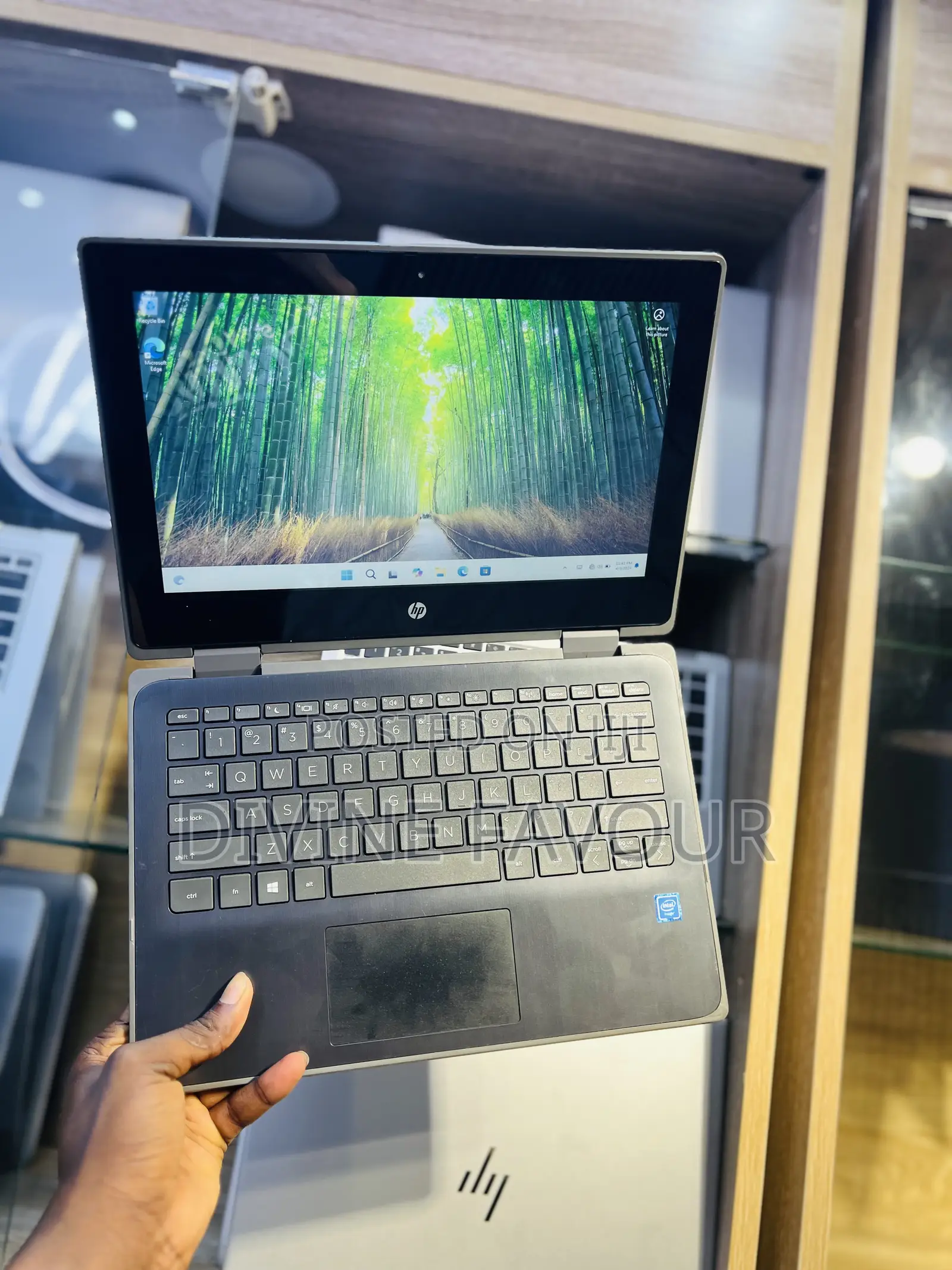 Laptop HP Probook 11 EE G1 4GB Intel Celeron SSD 640GB