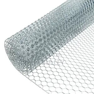 Galvanized Metal Mesh ,Welding Net Roll at Best Price 