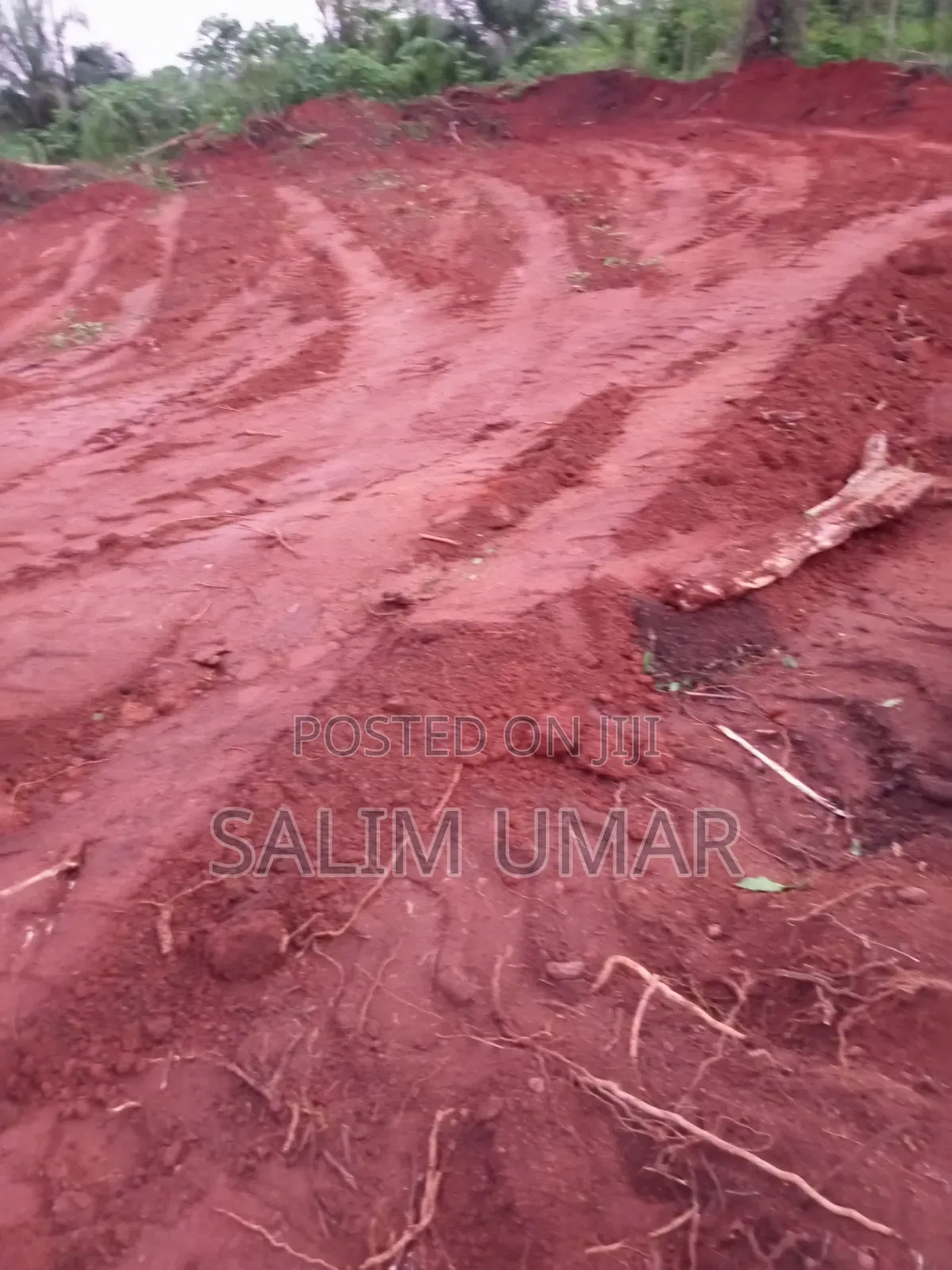 Plot of Land Available for Sale at Ntonso