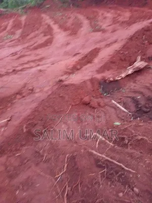Plot of Land Available for Sale at Ntonso