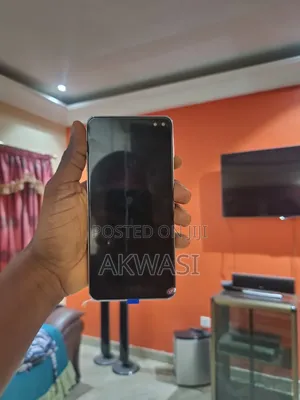 S10 Plus Screen