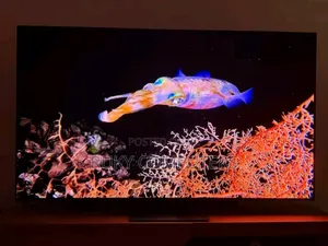 Tzen Tv From Samsung