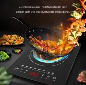 Portable Electric Induction Cooker