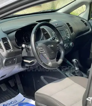 Kia Forte 2016 Gray
