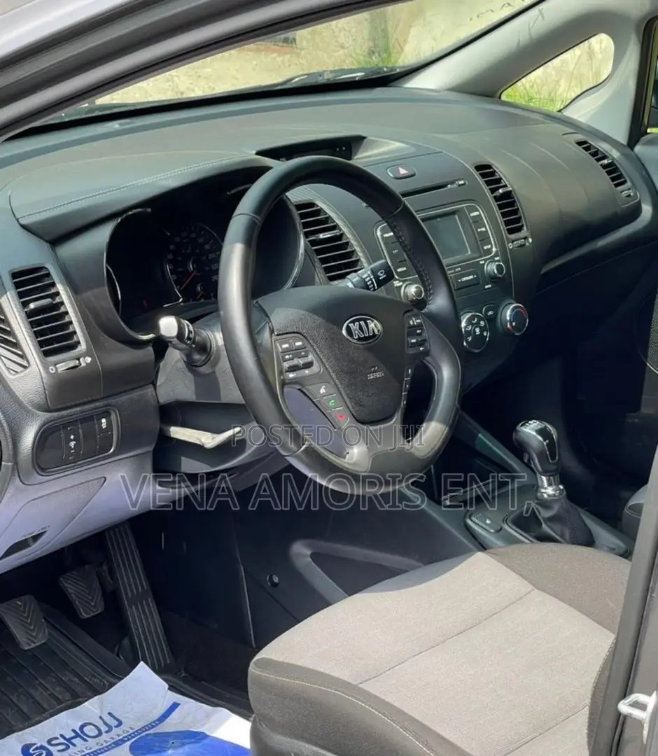 Kia Forte 2016 Gray