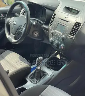 Kia Forte 2016 Gray