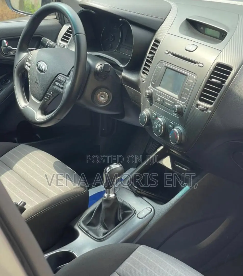 Kia Forte 2016 Gray