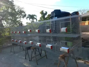 Strong Affordable Rabbit Cage(16 Rooms)