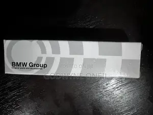 Oem BMW Plugs