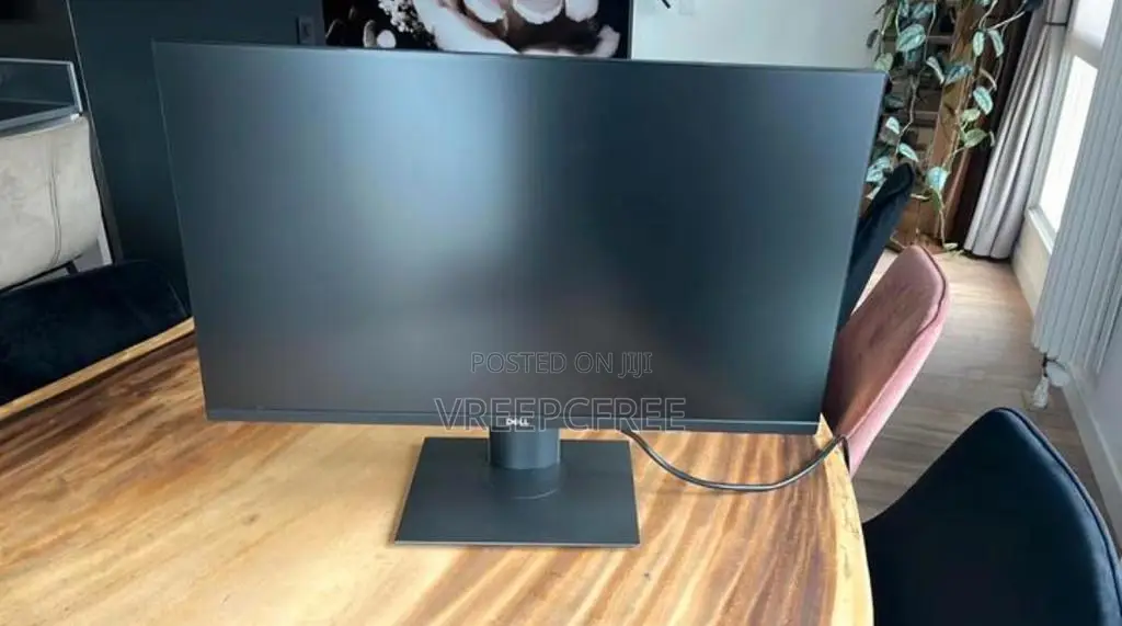 Dell P2419h Monitor