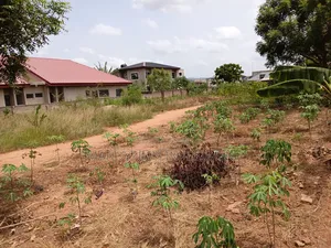 First-Elegant 2 Plots of Land at Adenta - Malejo
