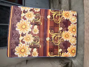 Slightly Used Mattress