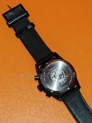 Citizen Eco Drive Smart Watch Original From Usa