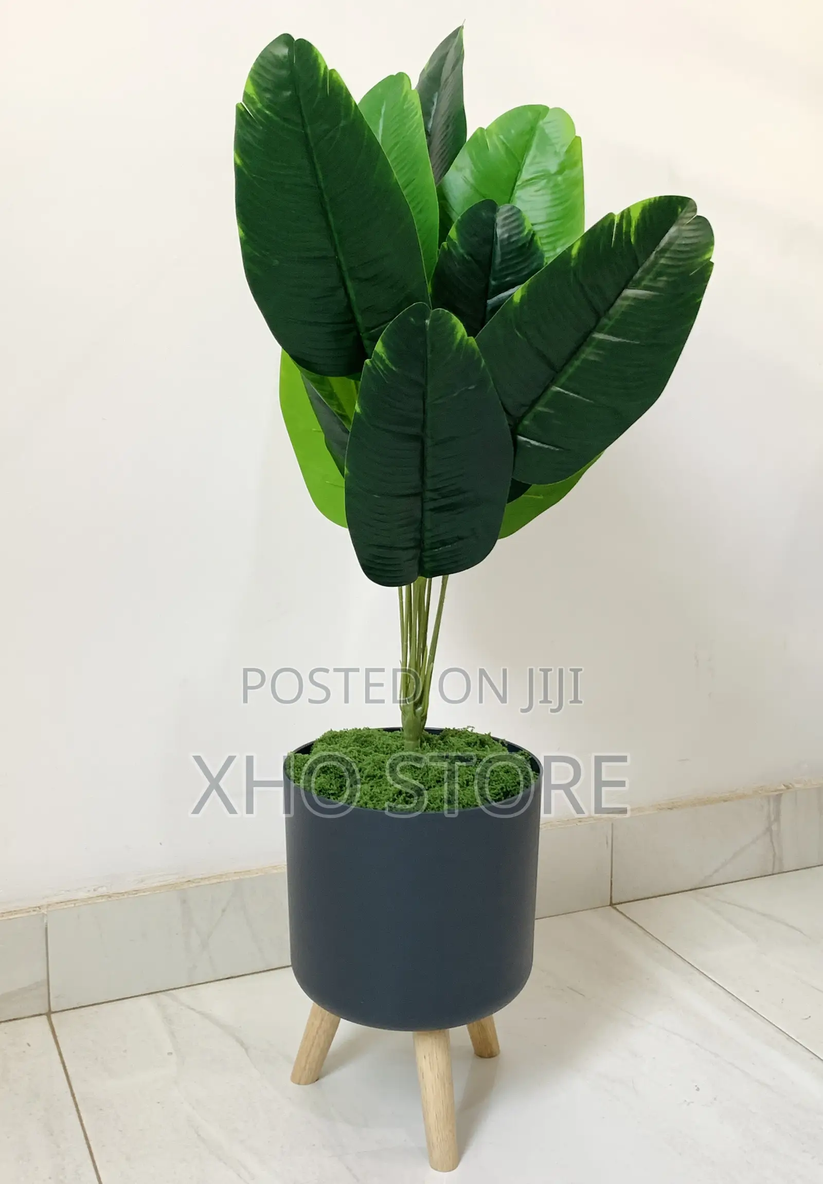 Modern Indoor Potted Plants Wooden Stands Flower Pots