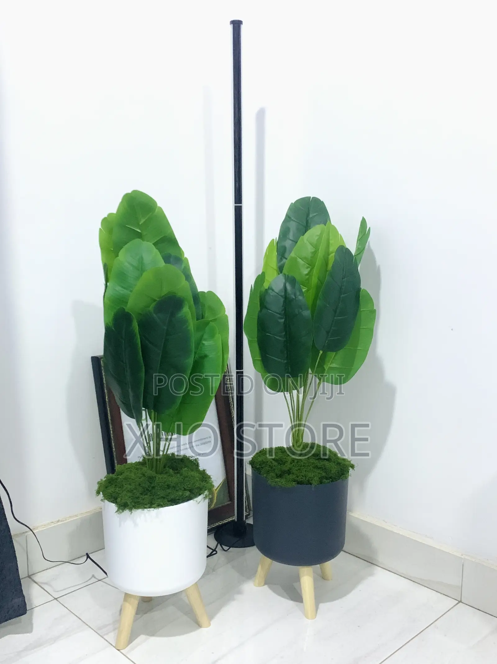 Modern Indoor Potted Plants Wooden Stands Flower Pots