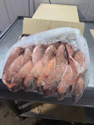 Frozen Fish Sales and Marketing Manager