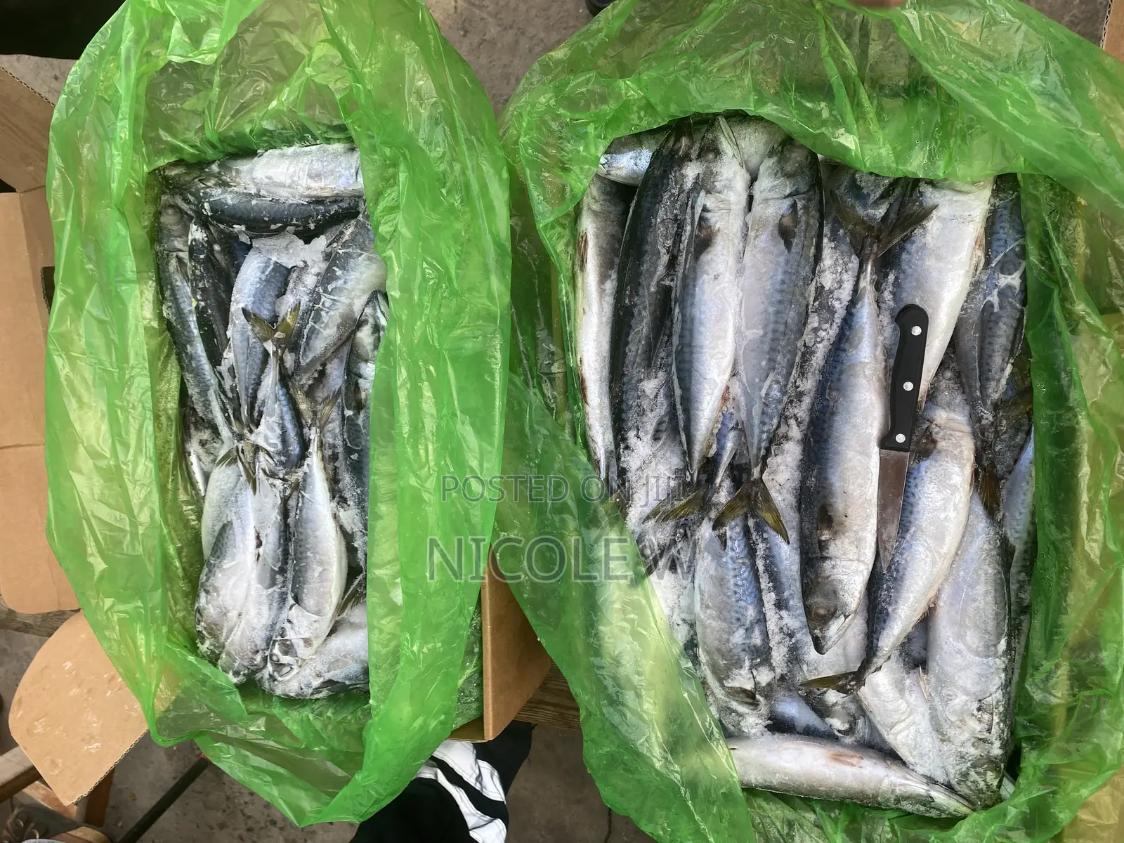 Frozen Fish Sales and Marketing Manager